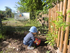 Gartenprojekt Sommer 24